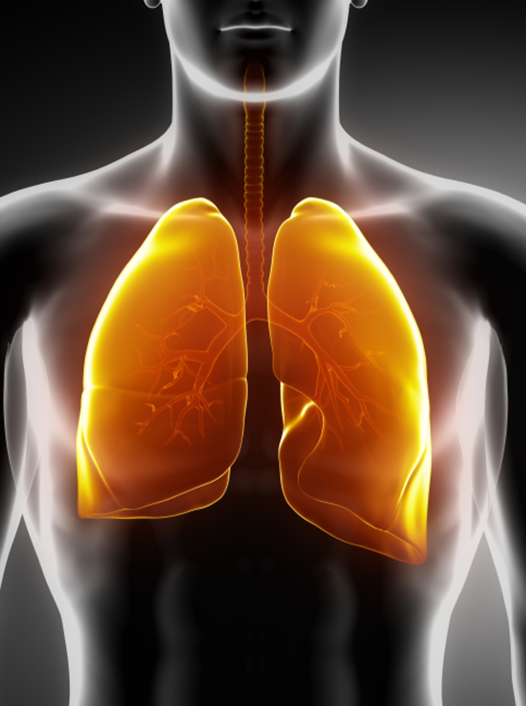 Respiratory Wellness